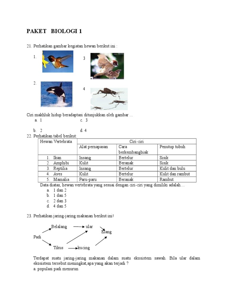 770+ Perhatikan Gambar Dua Hewan Vertebrata Berikut Ini HD Terbaik
