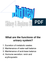 Homeostasis Part 3