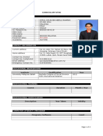 CV Sample Template