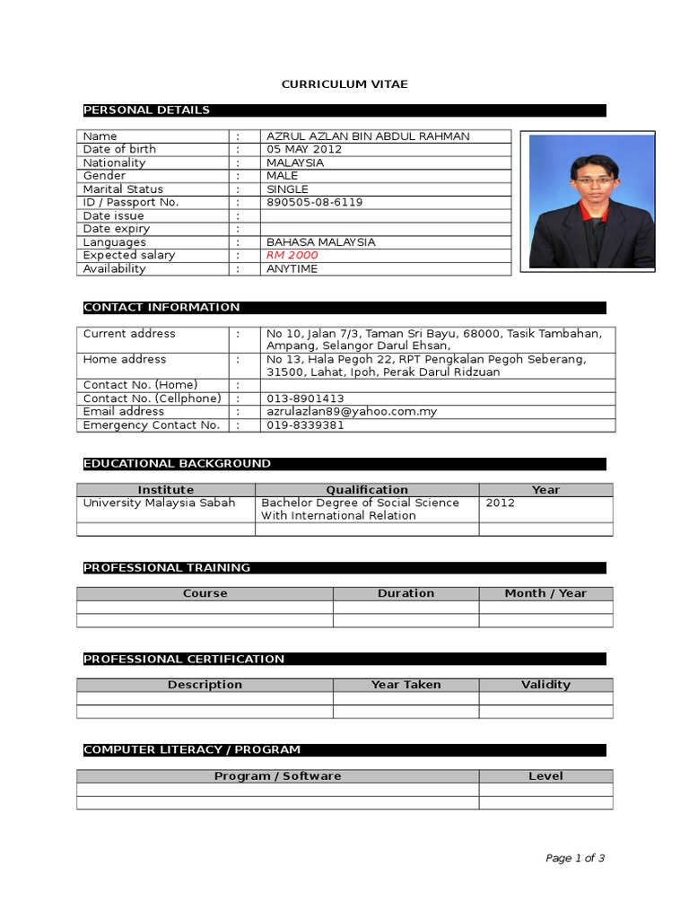 CV Sample Template | PDF