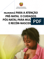 Normas para A Atencao Pre Natal e Cuidados Pos Natal para Mulheres e Recem Nascidos