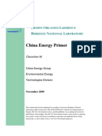 China Energy Primer - Berkeley National Laboratory (2009)