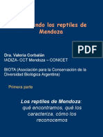 Reptiles Mendoza 2015