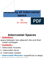 Anatomy of The Intercostal Space