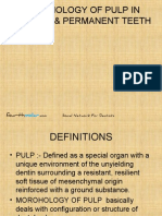 Morphology of Pulp in Primary Permanent Teeth Pedo