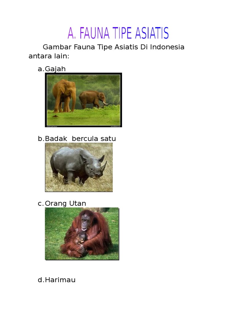 Download 9100 Gambar Fauna Tipe Asiatis Peralihan Australis Terbaru Gratis HD