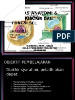 SISTEM DAN FUNGSI SEL(1).pptx