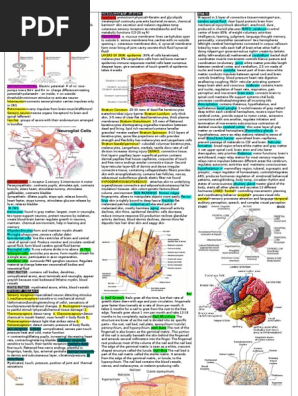Anatomy One Pager G&a (3)