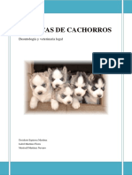 Criadero PDF