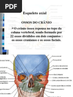 esqueleto  axial ossos do crânio e coluna
