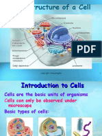 Cell Structure