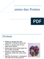 Asam Amino Dan Protein New