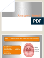 Anatomi Tonsil