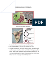 Peredaran Darah Vertebrata