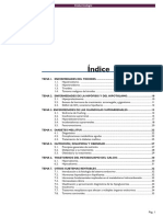 minimanual endocrino.pdf