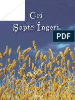 Cei Sapte Ingeri