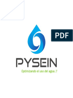 Logo Final Pysein