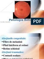 Patologia Retinei