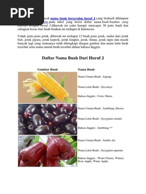 Daftar Nama Buah Berawalan Huruf J Pdf