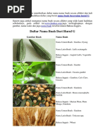 Download Daftar Nama Buah Dari Huruf G by wwwbuahazcom SN321816622 doc pdf