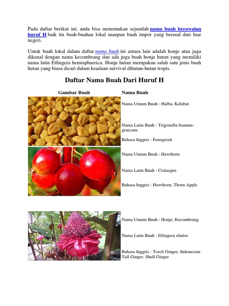 Daftar Nama Buah Dari Huruf H