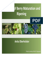 Berry Maturation and Ripening Prezentacija