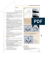 Radiologia Esencial Medidas Pediatricas