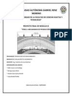 Informe Final - Mecanismos de Producción