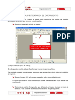 2- Introducir texto.pdf