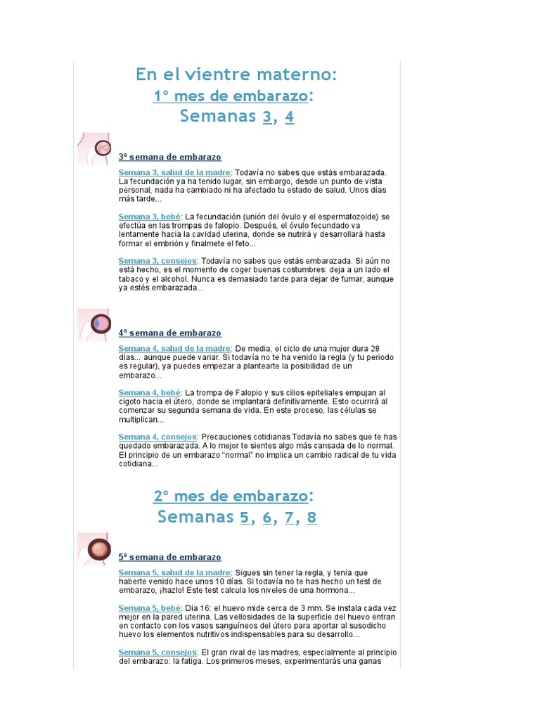 En El Vientre Materno El Embarazo Parteria