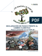Declaracion Pasco Hacia La COP 20 PDF