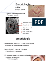 Embriología y anatomía del cristalino