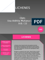 Lichenes (BIO)