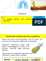 anaerobic respiration