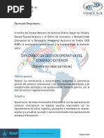 Diplomado Gestión Operativa 