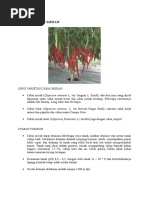 Download BUDIDAYA CABE MERAH by Juni SIpahutar SN321861750 doc pdf