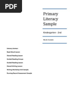 Download Primary Literacy Sample by Nicole Dostaler SN32187737 doc pdf
