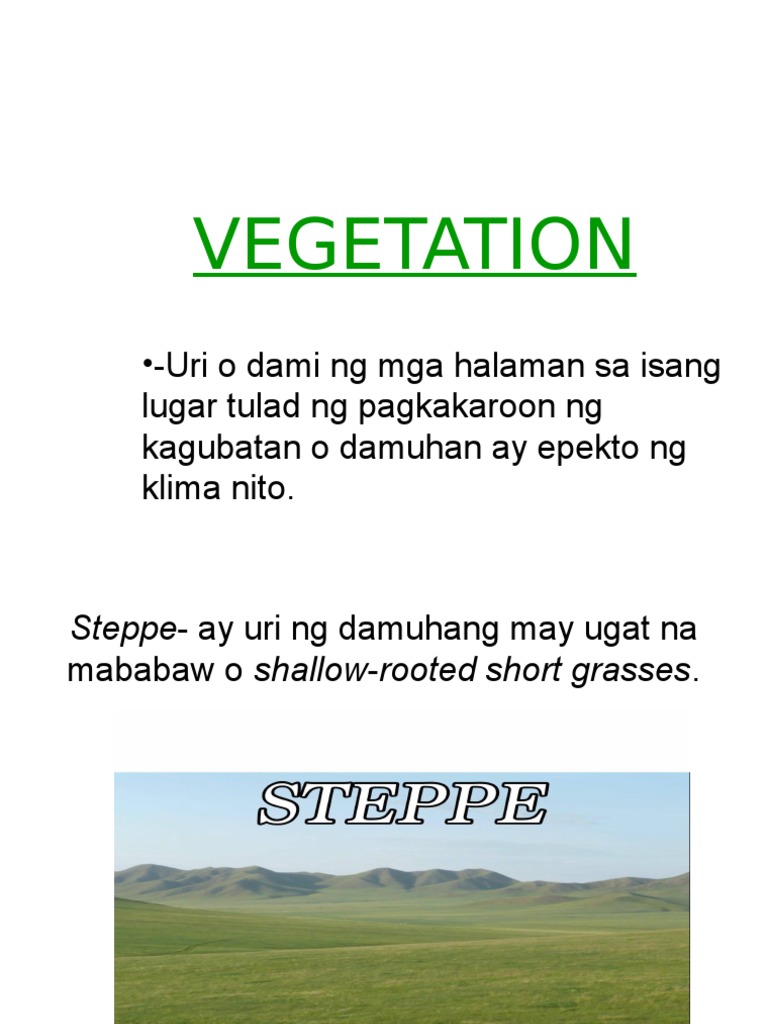 Vegetation | PDF