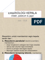 Embriologi Kepala - Isni