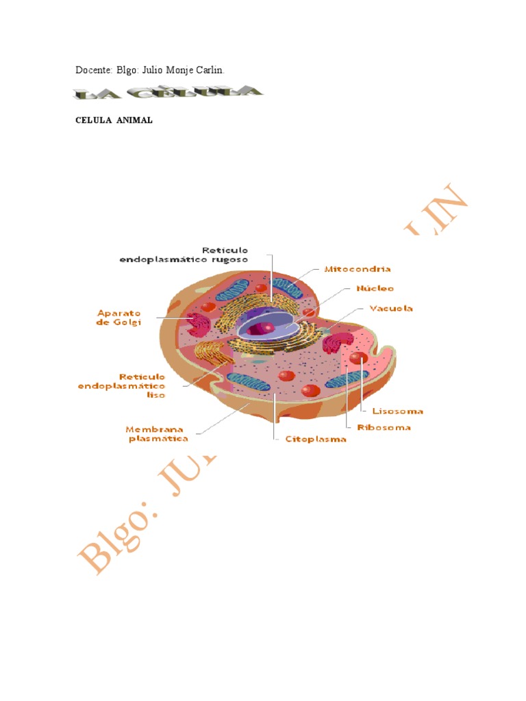 Biologia de La Celula. Mitosis Biología Celular)