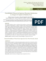 Durabilidade Natural de Espécies Florestais Madeireiras Ao Ataque de Cupins de Madeira Seca