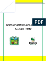 Perfil Epidemiologico 2011-Palmira