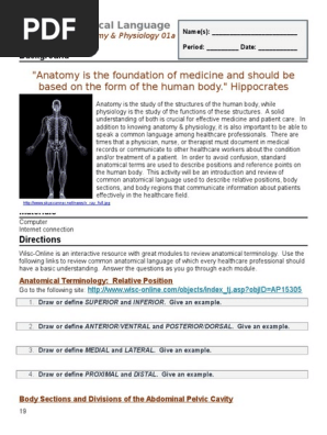 01a Using Anatomical Language | PDF | Anatomical Terms Of Location | Health  Care