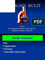 Patologi Kulit Materi