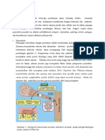 Penyebab Multifaktorial Prostatitis