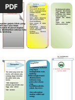 Leaflet DISPEPSIA Vian