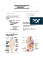 Guia 2 Compren. Medio Cuerpo Humano