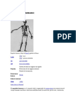 Esqueleto Humano... 123