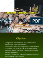 06 Analisis Componencial