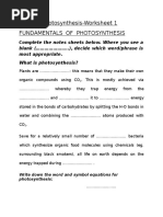 Photosynthesis Worksheet